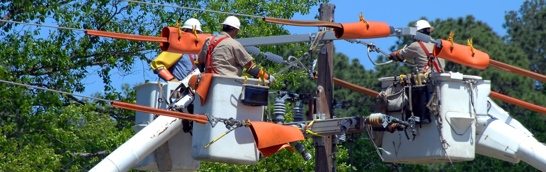 Lineman2